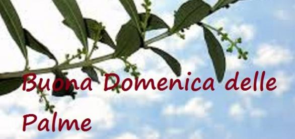 Domenica delle Palme